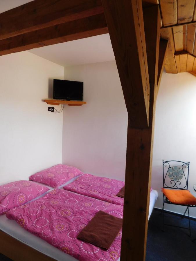Pension U Mojmíra Rokytnice nad Jizerou Bagian luar foto